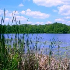 Benton Lake