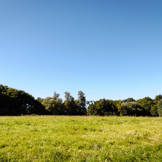 Otoczenie zespołu pałacowego