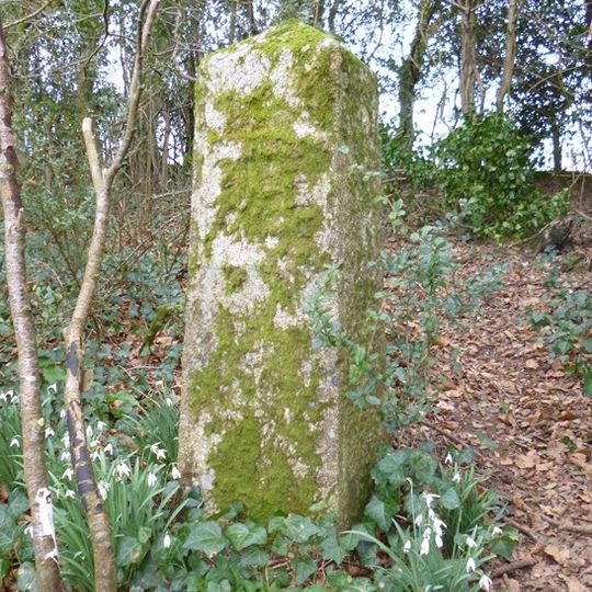 Milestone, off track leading from Lower Lodge into the estate, 10m NE the track gate