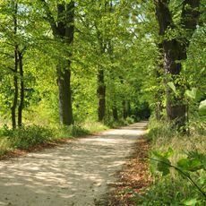 Wojnowice Castle Park