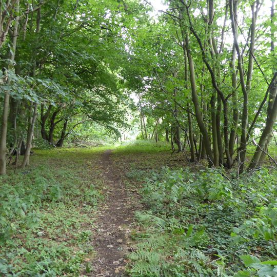 Sinks Valley, Kesgrave