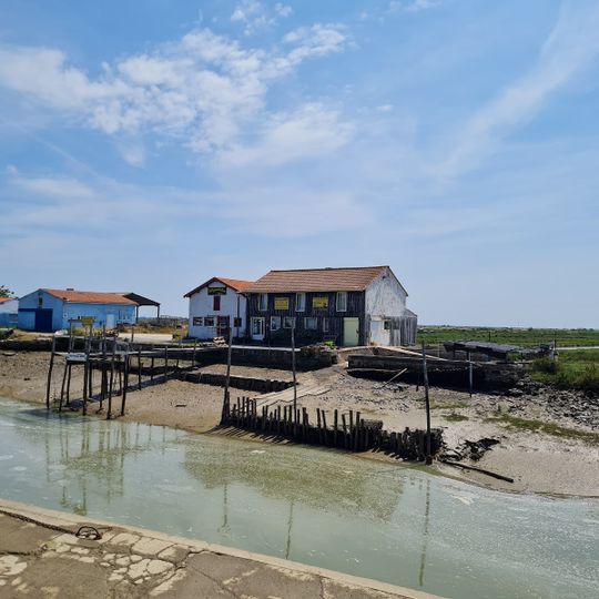 Huîtres Marennes Oléron