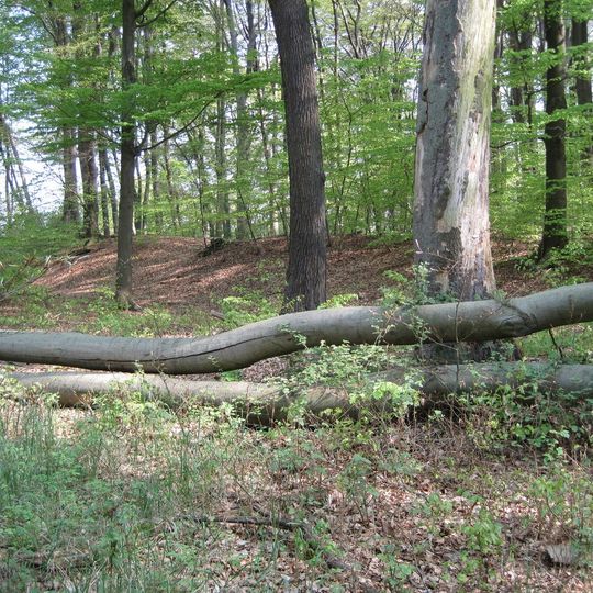 Ringwall Güldenberg