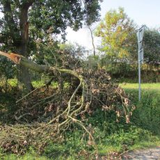 Kříž na jižním okraji Červené Řečice