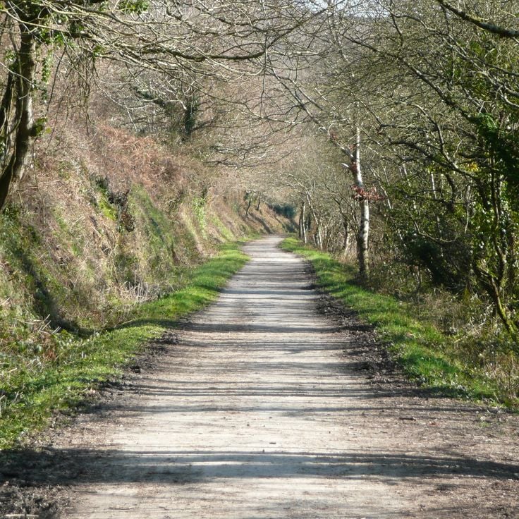 Camel Trail