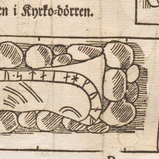 Uppland Runic Inscription 206