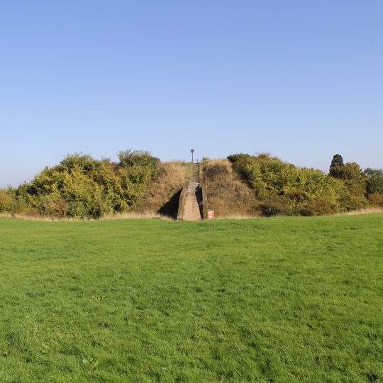 Pleshey Castle and town enclosure