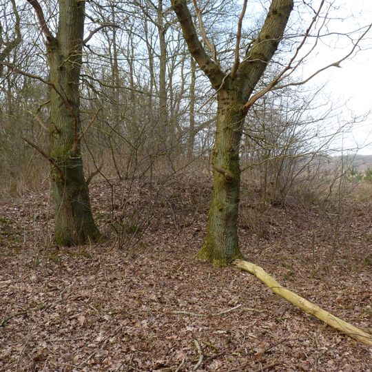 Terrein met twee grafheuvels