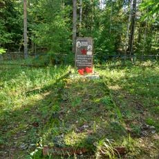 Братская могила советских воинов, погибших в борьбе с фашистскими захватчиками (Питкярантское г.п.)