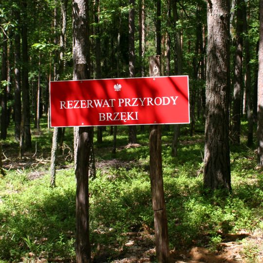 Nature reserve Brzęki