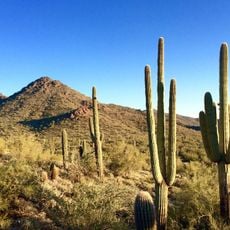 McDowell Sonoran Preserve