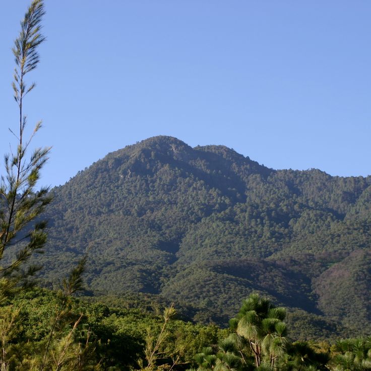 Park Narodowy Benito Juárez