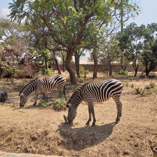 Munda Wanga Environmental Park