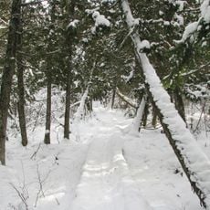 Brule River State Forest
