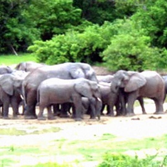 Parco nazionale di Kamuku