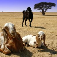 Dystrykt Południowy