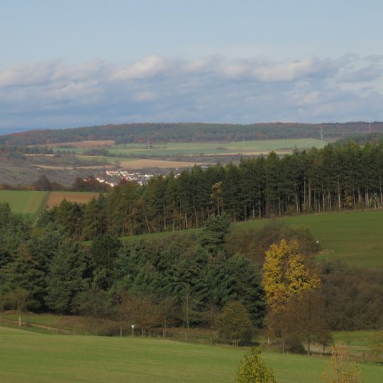 Flugsande am Saupürzel NE von Karlstadt