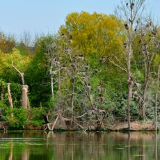 Pleidelsheimer Wiesental