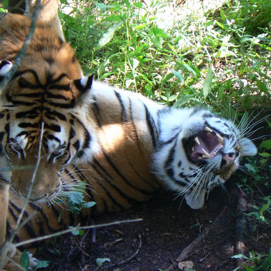Zoo Sauvage de St-Félicien