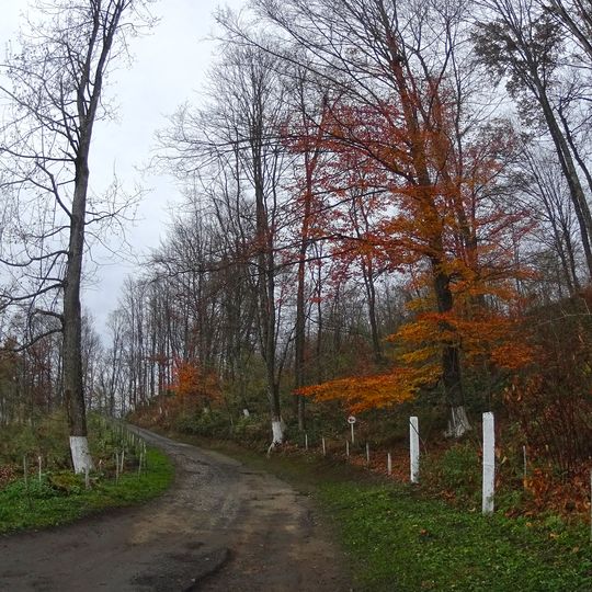 Парк «Чонок»