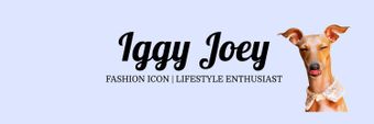 Iggy Joey Profile Cover