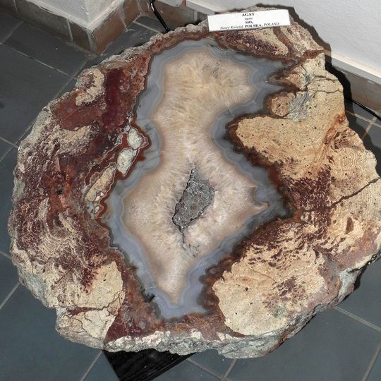 Mineralogical Museum in Wrocław