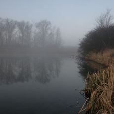 Novosilkivs'kyi Entomological Preserve