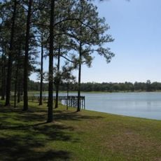 Conecuh National Forest