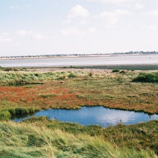 Colne Estuary