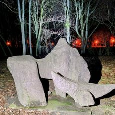 Zwierzę