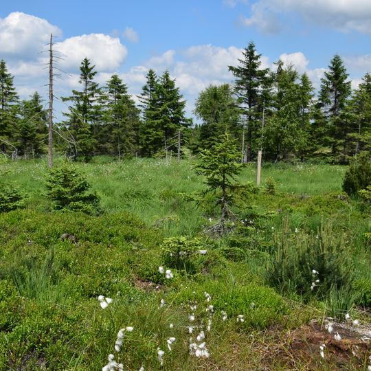 Schwarze Heide - Kriegswiese