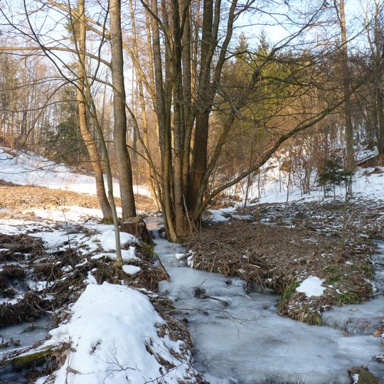 Údolí Záhorského potoka