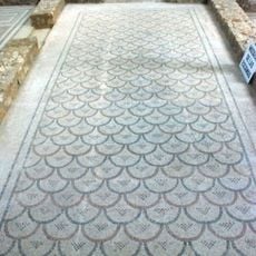 Habitación Nº 23 Mosaico de Escamas Imbricadas