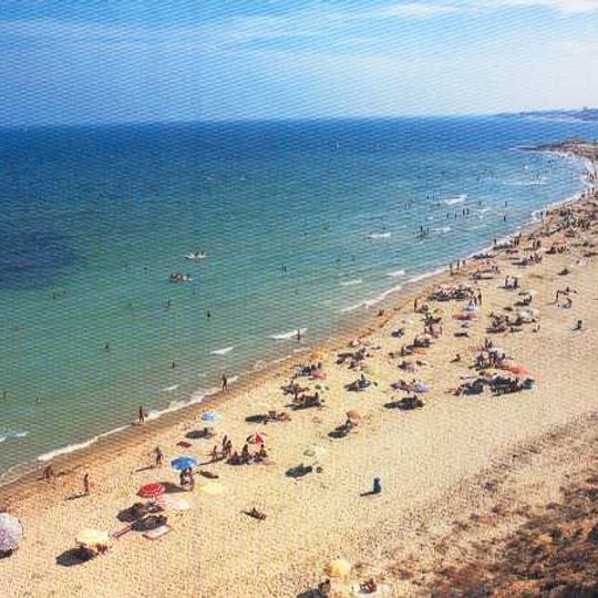 Vega Baja del Segura