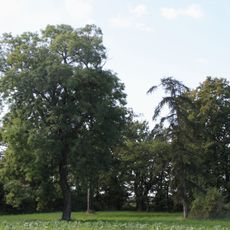 Manor park in Tupadły