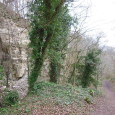 Coaley Wood Quarries