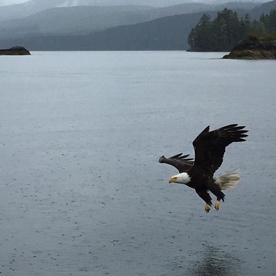 Parc provincial Quatsino