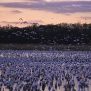 Tesoros desconocidos de Delaware