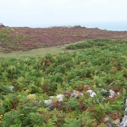 Cylch Cerrig Treleddyd Fawr