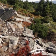 Klečoviště na Smrku