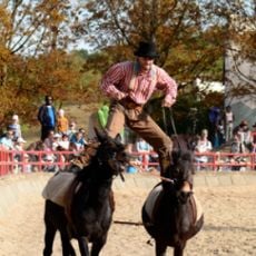 Le Tournoi des 3 Nations