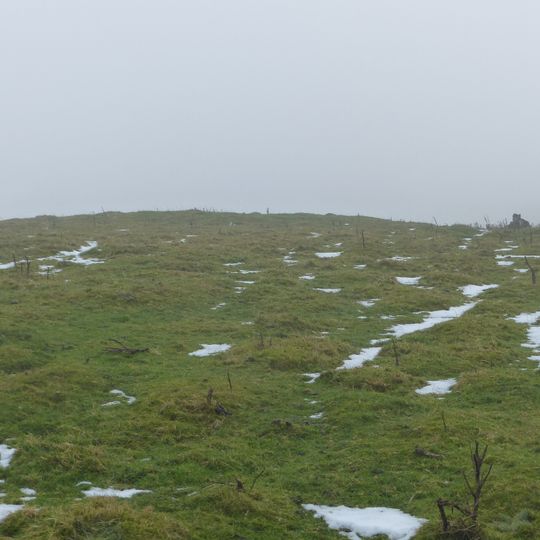 Anthony Hill bowl barrow