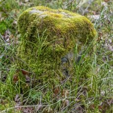 Grenzstein Untere Gemeinde in Fürth