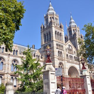 Gates, Gatepiers And Railings To Natural History Museum