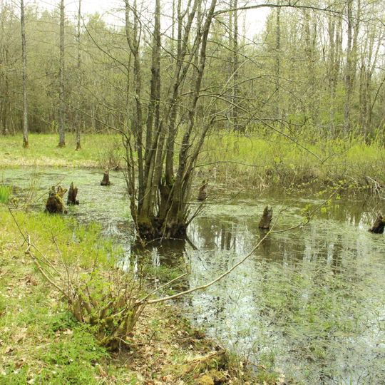Erzgrube mit Tümpel im Dickenbauernfeld