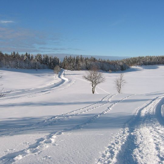 Châtillon-en-Michaille