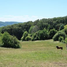 LSG-Tuecking-Auf der Halle und Umgebung