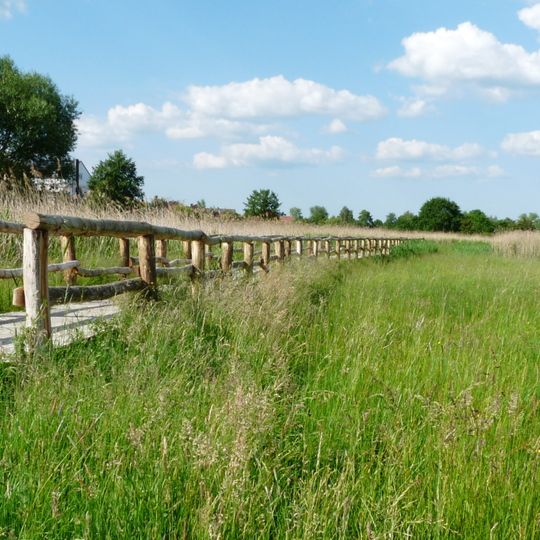 Rohrlache von Heringen