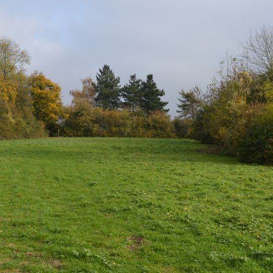 Tilwick Meadow