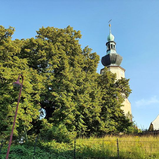 Kirchhofslinde Trebsen